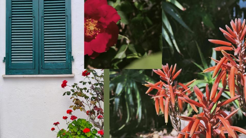 Hotel Scoglio Bianco Portoferraio Eksteriør billede
