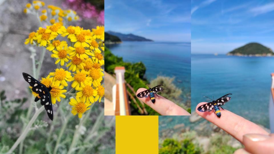 Hotel Scoglio Bianco Portoferraio Eksteriør billede